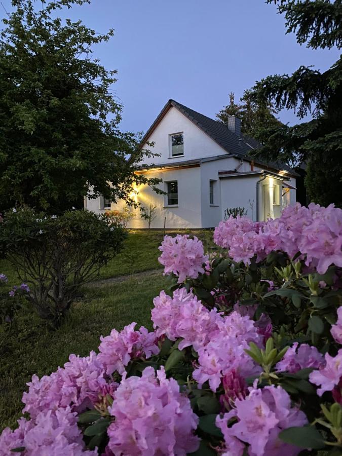 Gemuetliches Ferienhaus Spremberg Exteriér fotografie
